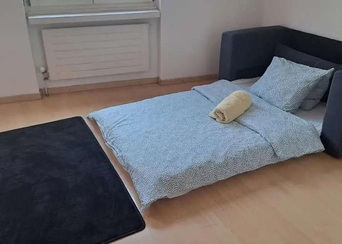 아파트 New In The Center Of Old Town Muhlegasse - Self Checkin *